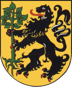 Wappen von Eisfeld