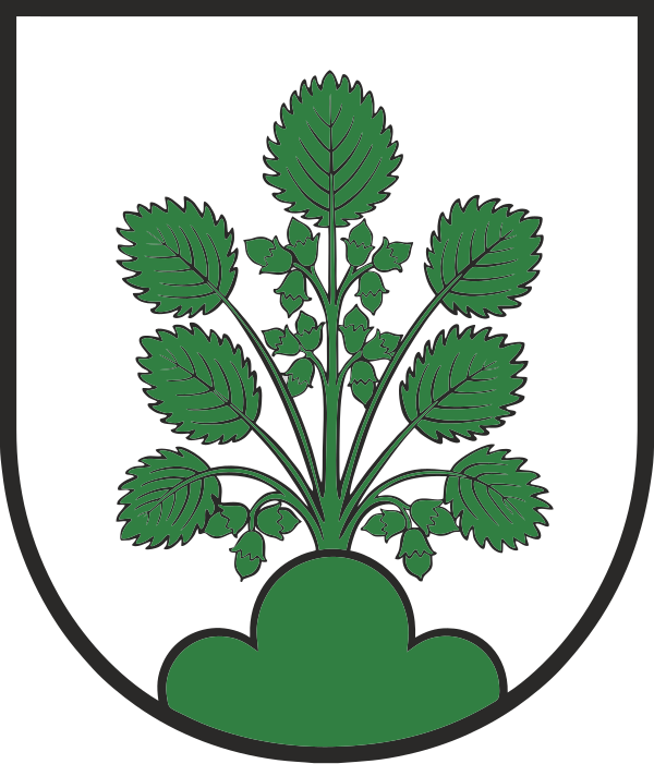 Wappen von Haslach im Kinzigtal