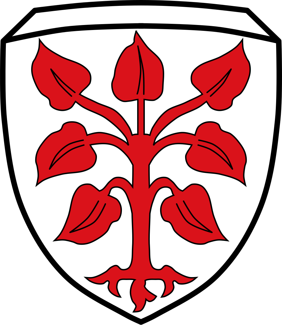 Wappen von Rottenbuch