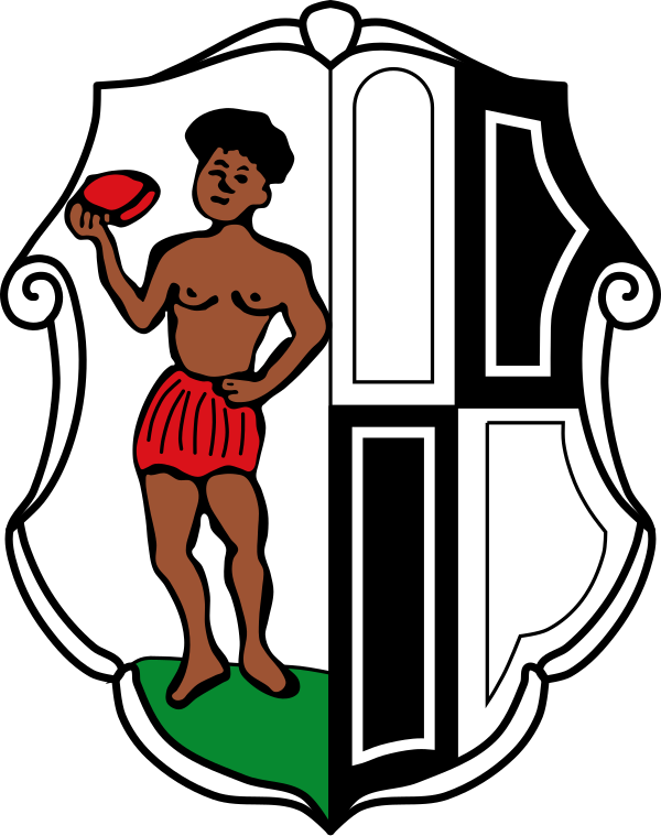 Wappen von Schauenstein