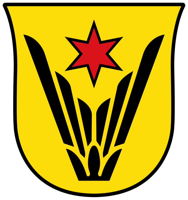 Wappen von Schwalbach am Taunus