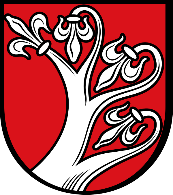 Wappen von Söhrewald
